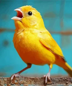 Yellow Canary Singing Diamond Painting