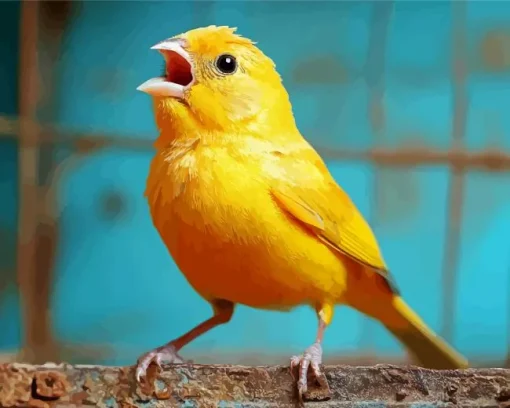 Yellow Canary Singing Diamond Painting