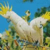 Yellow Cockatoos Diamond Painting