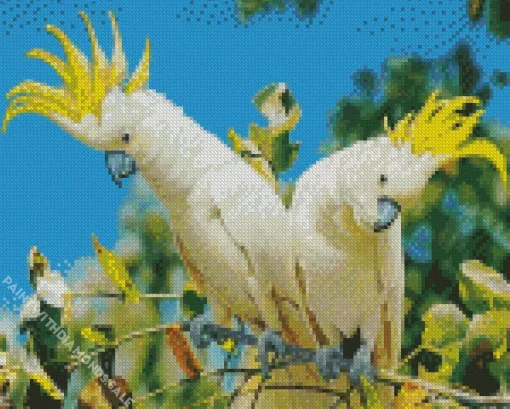 Yellow Cockatoos Diamond Painting