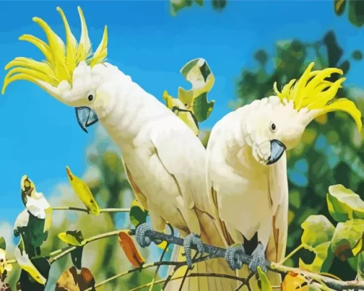 Yellow Cockatoos Diamond Painting