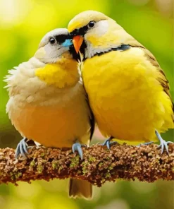 Yellow Lovebirds Diamond Painting