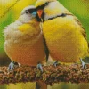 Yellow Lovebirds Diamond Painting