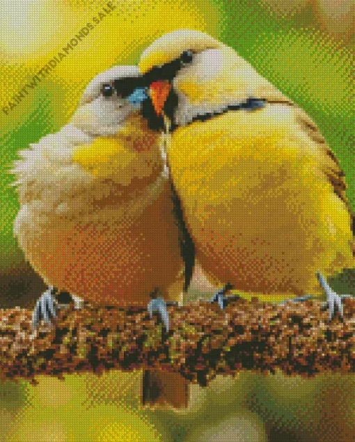 Yellow Lovebirds Diamond Painting