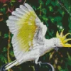 Yellow And White Cockatoo Diamond Painting