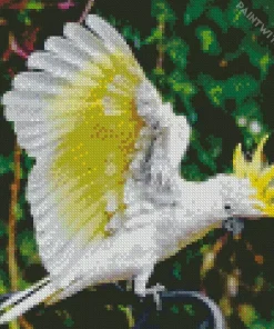 Yellow And White Cockatoo Diamond Painting