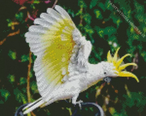 Yellow And White Cockatoo Diamond Painting