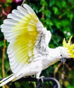 Yellow And White Cockatoo Diamond Painting