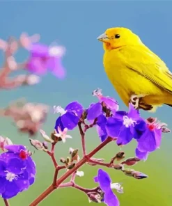 Yellow Canary And Purple Flowers Diamond Painting