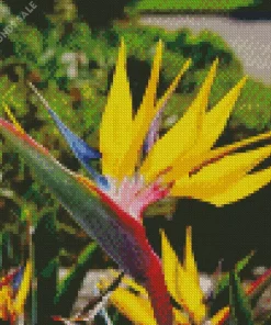 Yellow Strelitzia Mandelas Diamond Painting