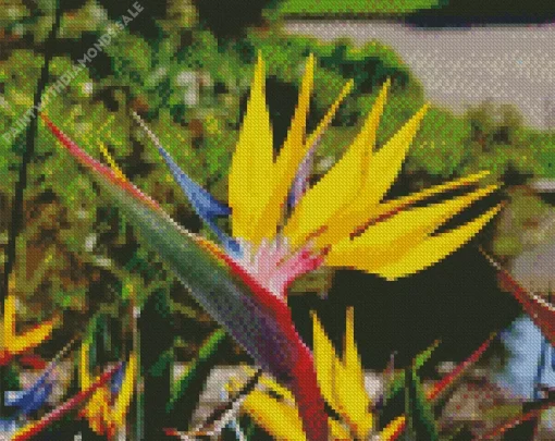 Yellow Strelitzia Mandelas Diamond Painting