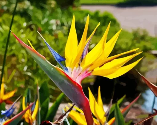 Yellow Strelitzia Mandelas Diamond Painting