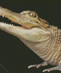 Alligator Diamond Painting