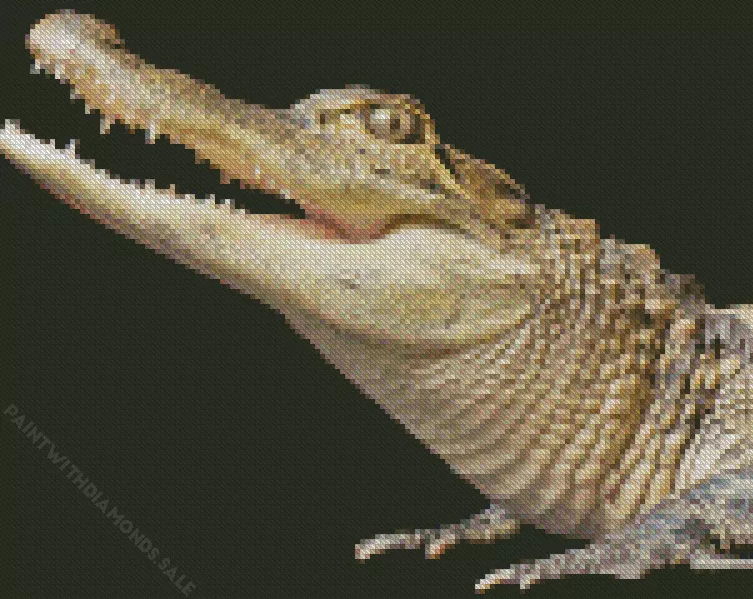 Alligator Diamond By Numbers Alligator Diamond Painting