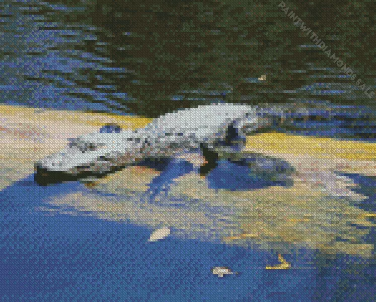 Alligator and turtle Diamond By Numbers Alligator And Turtle Diamond Painting