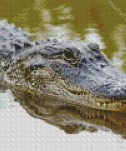 Alligator In Water Diamond Painting