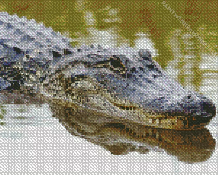Alligator in water Diamond By Numbers Alligator In Water Diamond Painting