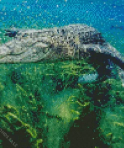 Alligator Underwater Diamond Painting