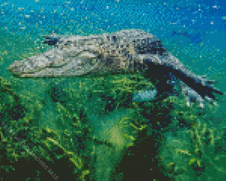 Alligator underwater Diamond By Numbers Alligator Underwater Diamond Painting