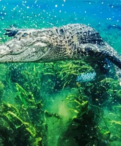 Alligator Underwater Diamond Painting