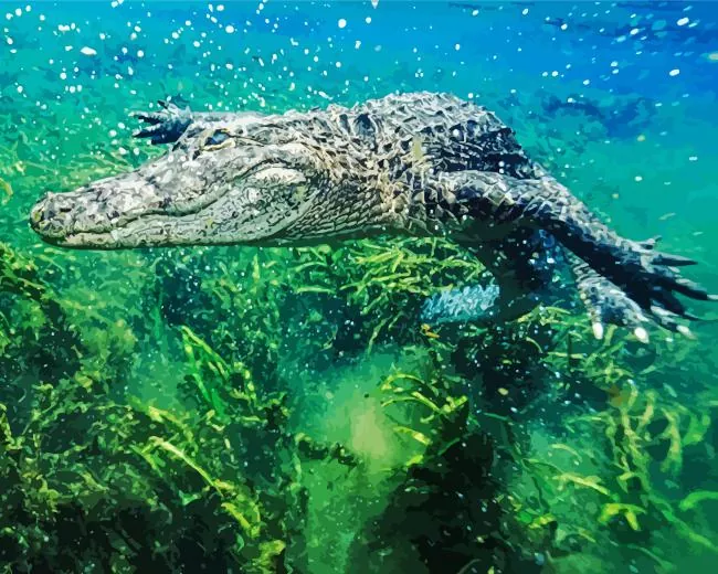 Alligator underwater Diamond Paintings Alligator Underwater Diamond Painting