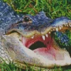 Alligator With Opened Mouth Diamond Painting