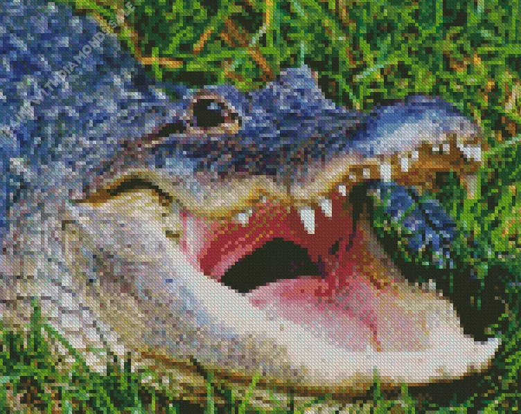 Alligator with opened mouth Diamond By Numbers Alligator With Opened Mouth Diamond Painting