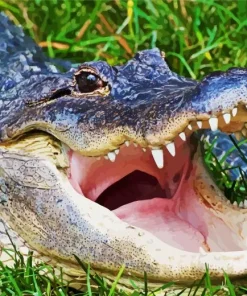 Alligator With Opened Mouth Diamond Painting