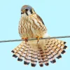 American Kestrel On Wire Diamond Painting