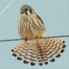 American Kestrel On Wire Diamond Painting