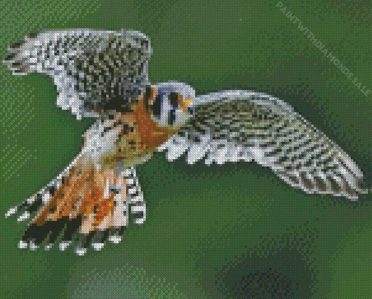 American Kestrel with big wings Diamond Paints American Kestrel With Big Wings Diamond Painting