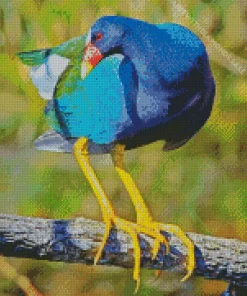 American Purple Gallinule Bird Diamond Painting