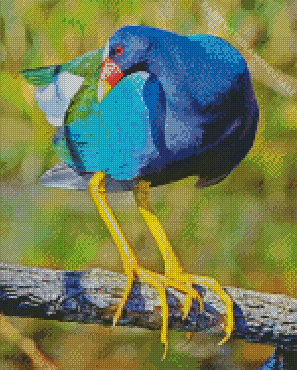 American Purple Gallinule bird Diamond Dotz American Purple Gallinule Bird Diamond Painting