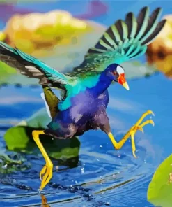 American Purple Gallinule Flapping Wings Diamond Painting