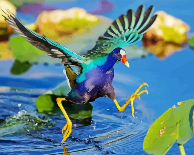 American Purple Gallinule flapping wings Diamond By Numbers American Purple Gallinule Flapping Wings Diamond Painting