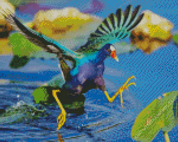 American Purple Gallinule flapping wings Diamond Dotz American Purple Gallinule Flapping Wings Diamond Painting