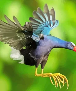 American Purple Gallinule Flying Diamond Painting