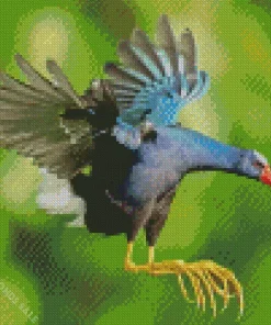 American Purple Gallinule Flying Diamond Painting