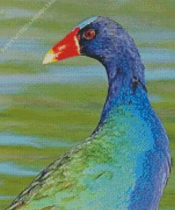 American Purple Gallinule Head Diamond Painting