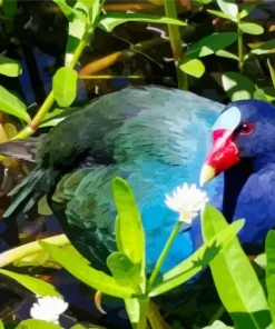 American Purple Gallinule In Green Leaves Diamond Painting