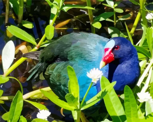 American Purple Gallinule in green leaves Diamond By Numbers American Purple Gallinule In Green Leaves Diamond Painting
