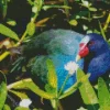 American Purple Gallinule In Green Leaves Diamond Painting
