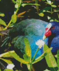 American Purple Gallinule In Green Leaves Diamond Painting