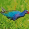 American Purple Gallinule In Nature Diamond Painting