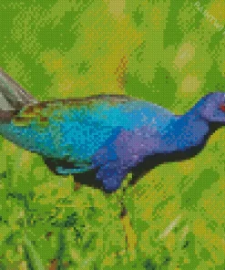 American Purple Gallinule In Nature Diamond Painting