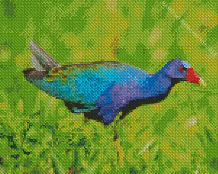 American Purple Gallinule in nature Diamond Dotz American Purple Gallinule In Nature Diamond Painting