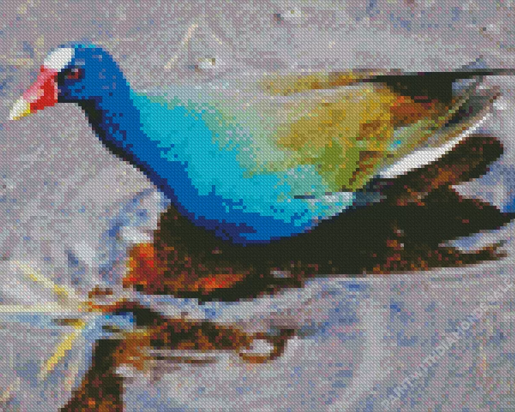American Purple Gallinule in water Diamond Dotz American Purple Gallinule In Water Diamond Painting