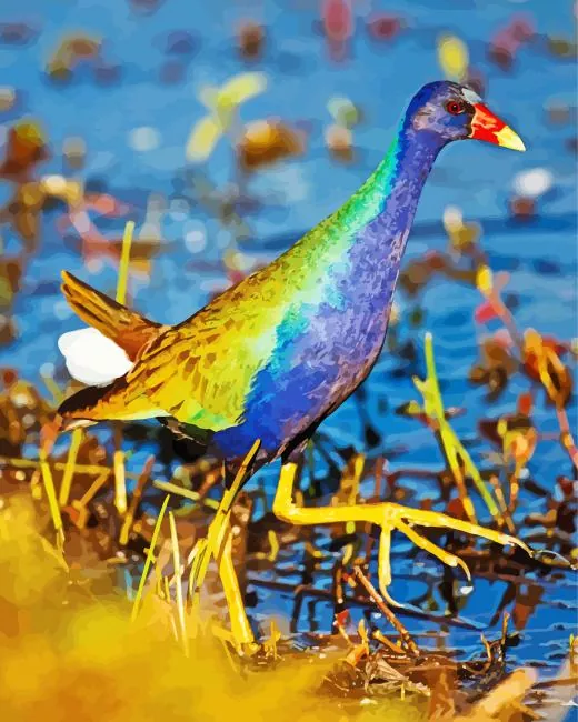 American Purple Gallinule with green wings Diamond By Numbers American Purple Gallinule With Green Wings Diamond Painting