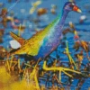 American Purple Gallinule With Green Wings Diamond Painting