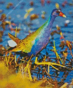 American Purple Gallinule With Green Wings Diamond Painting